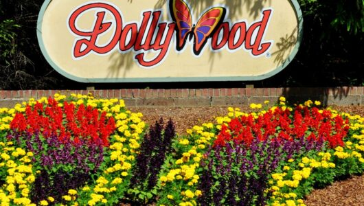 Mountains, Moonshine & Music City